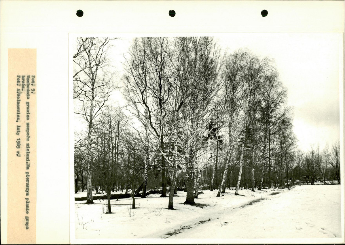 Ewidencja parkowa, skan nr 25