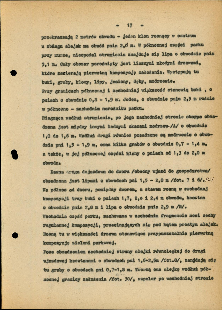 Ewidencja parkowa, skan nr 24