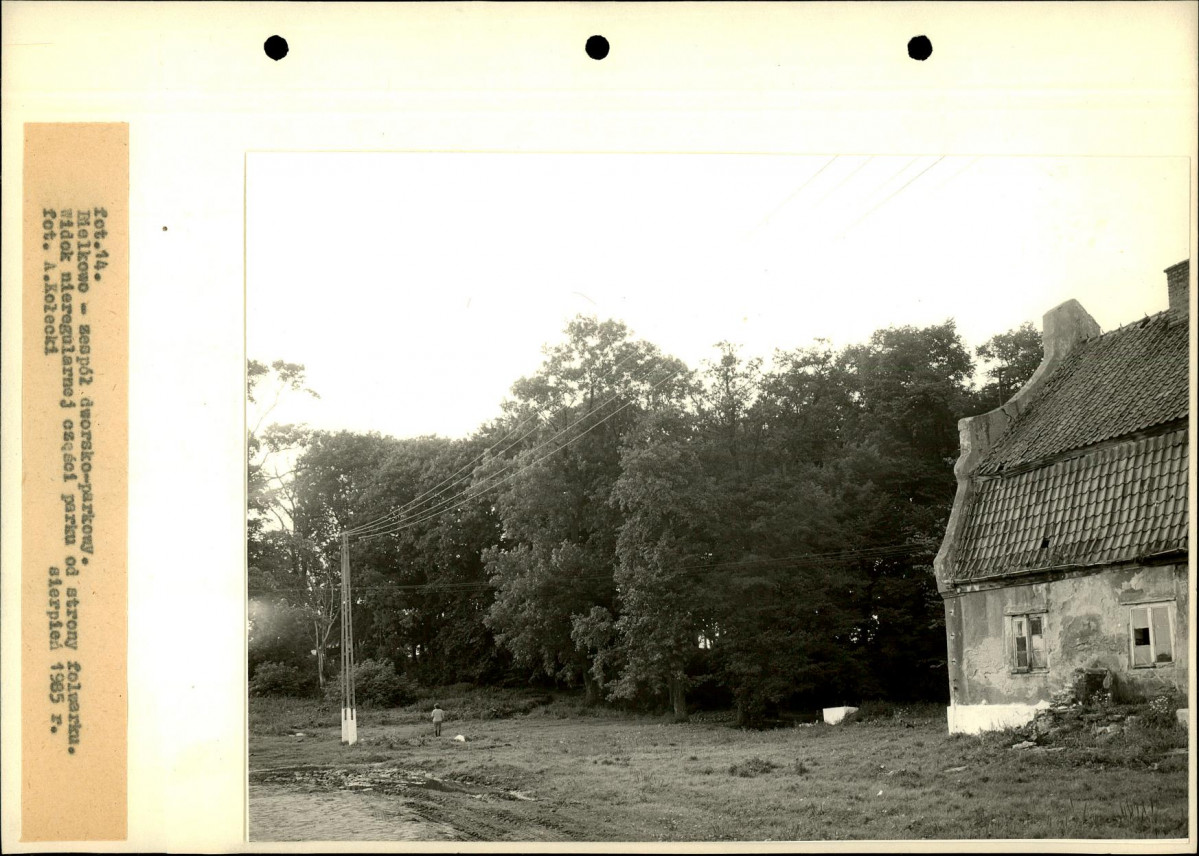 Ewidencja parkowa, skan nr 52