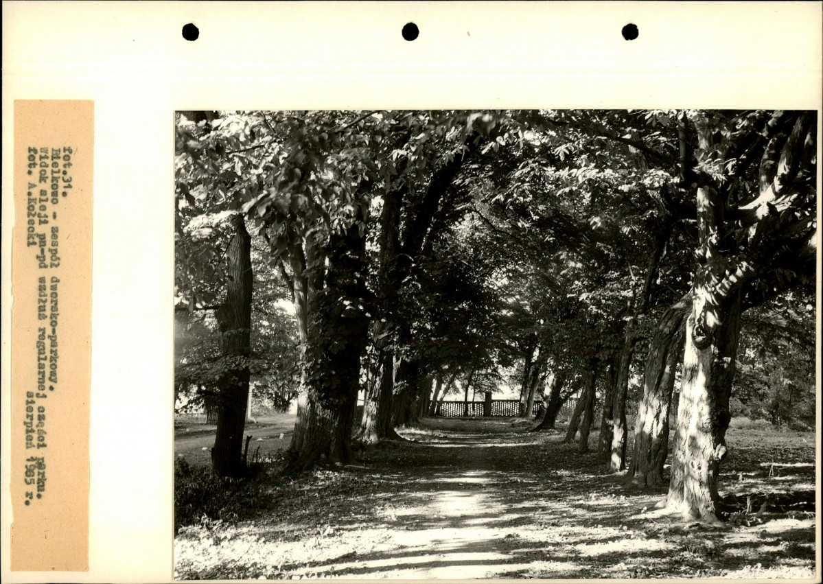 Ewidencja parkowa, skan nr 69