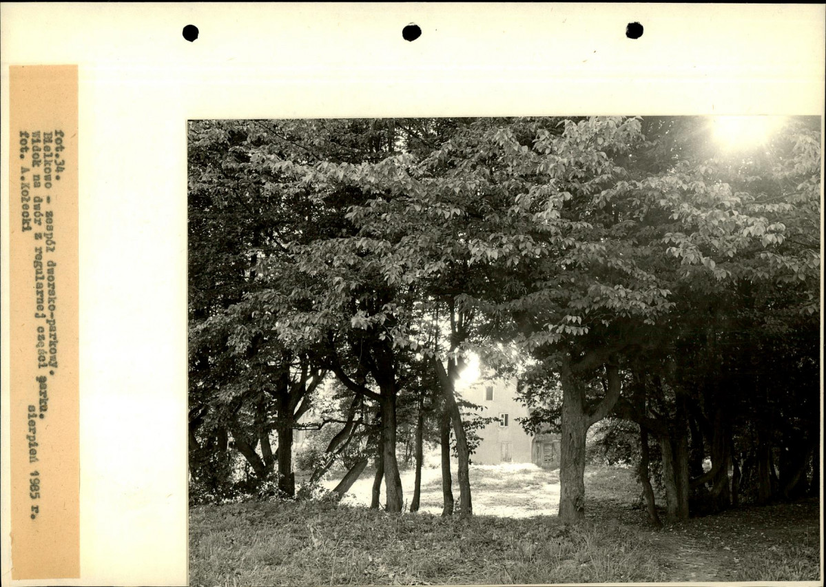 Ewidencja parkowa, skan nr 72