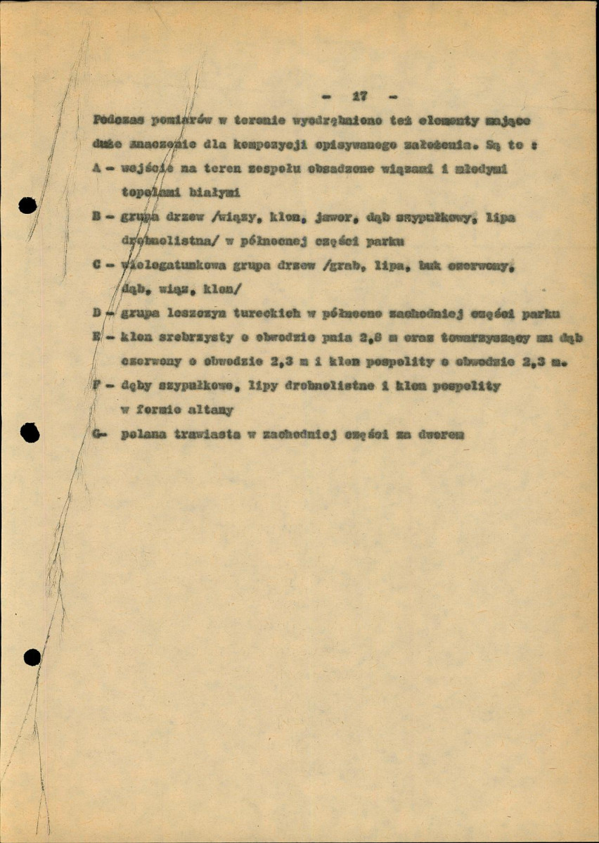 Ewidencja parkowa, skan nr 28