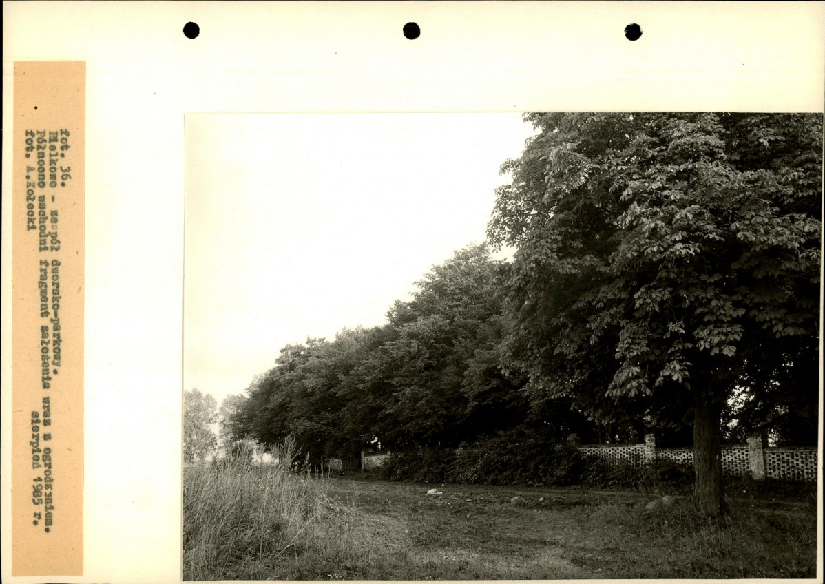Ewidencja parkowa, skan nr 74