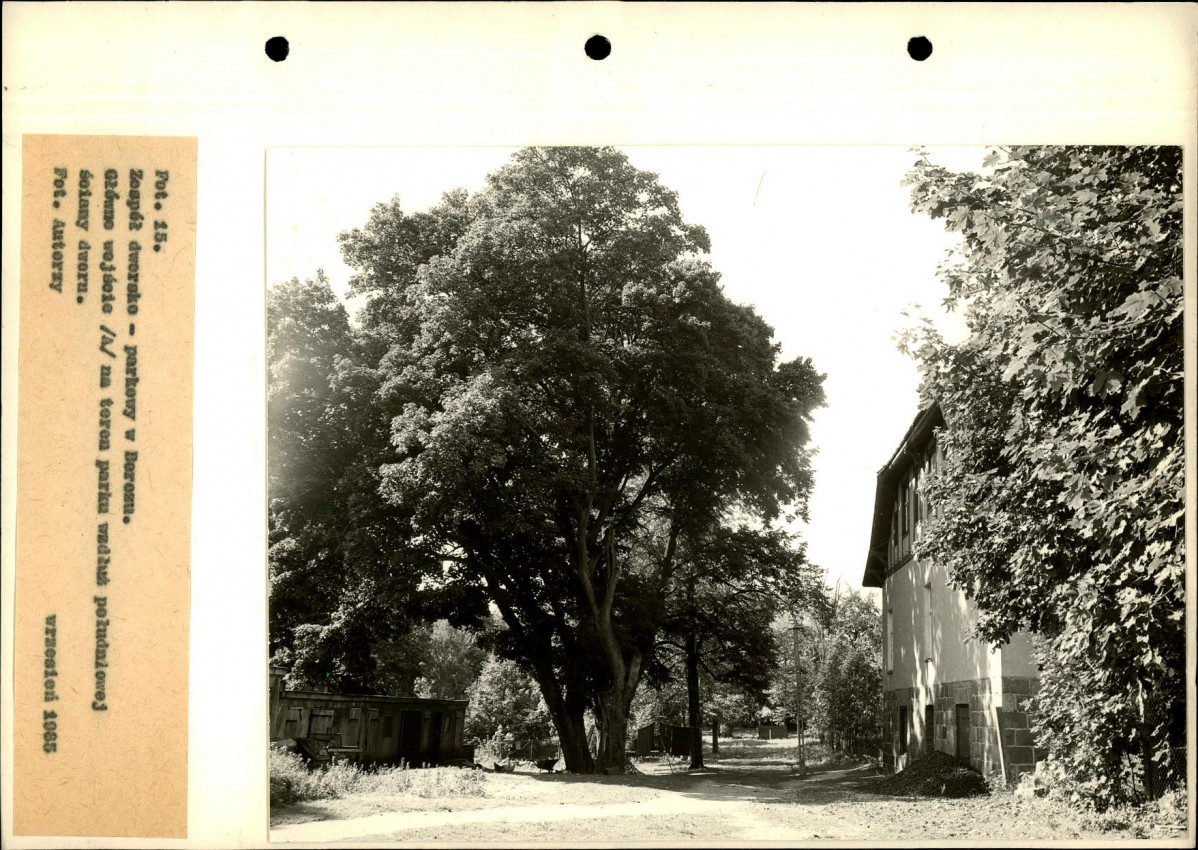Ewidencja parkowa, skan nr 53