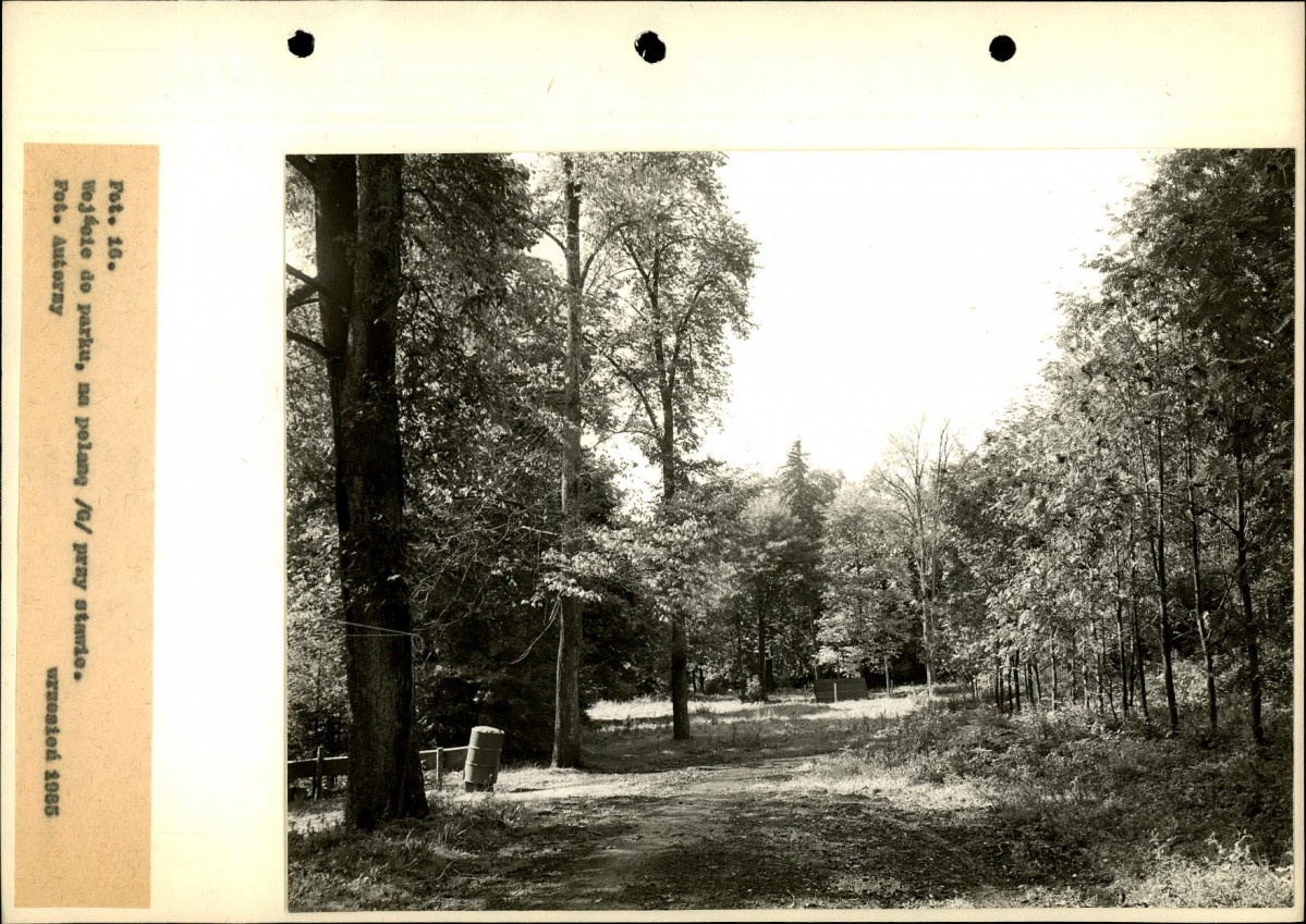 Ewidencja parkowa, skan nr 54