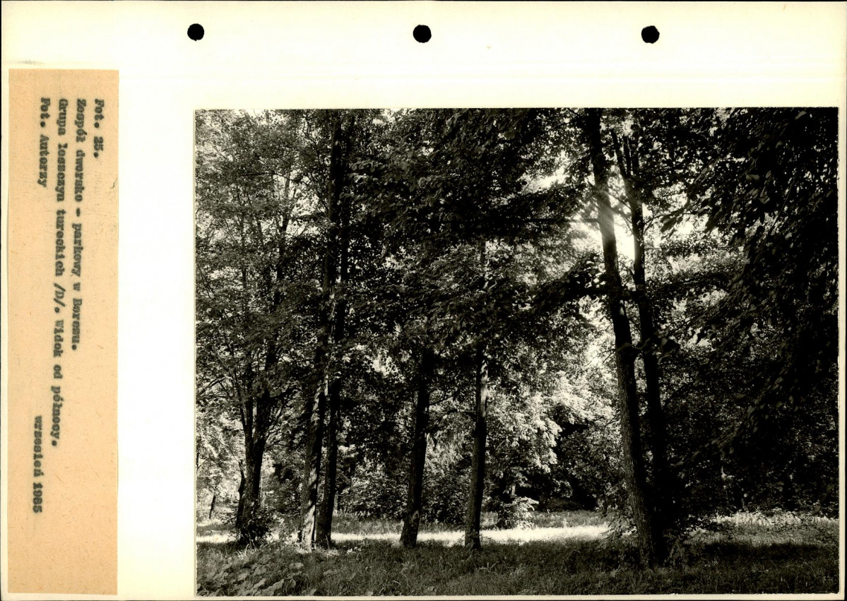 Ewidencja parkowa, skan nr 63