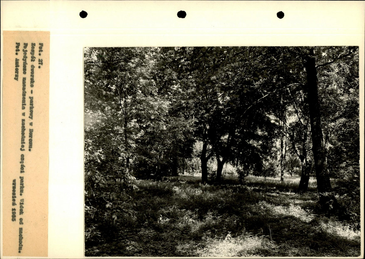 Ewidencja parkowa, skan nr 65