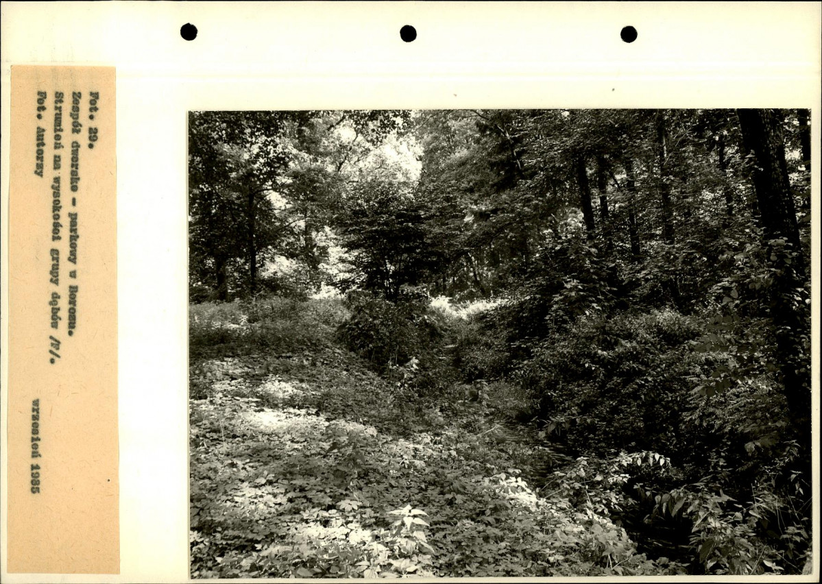 Ewidencja parkowa, skan nr 67