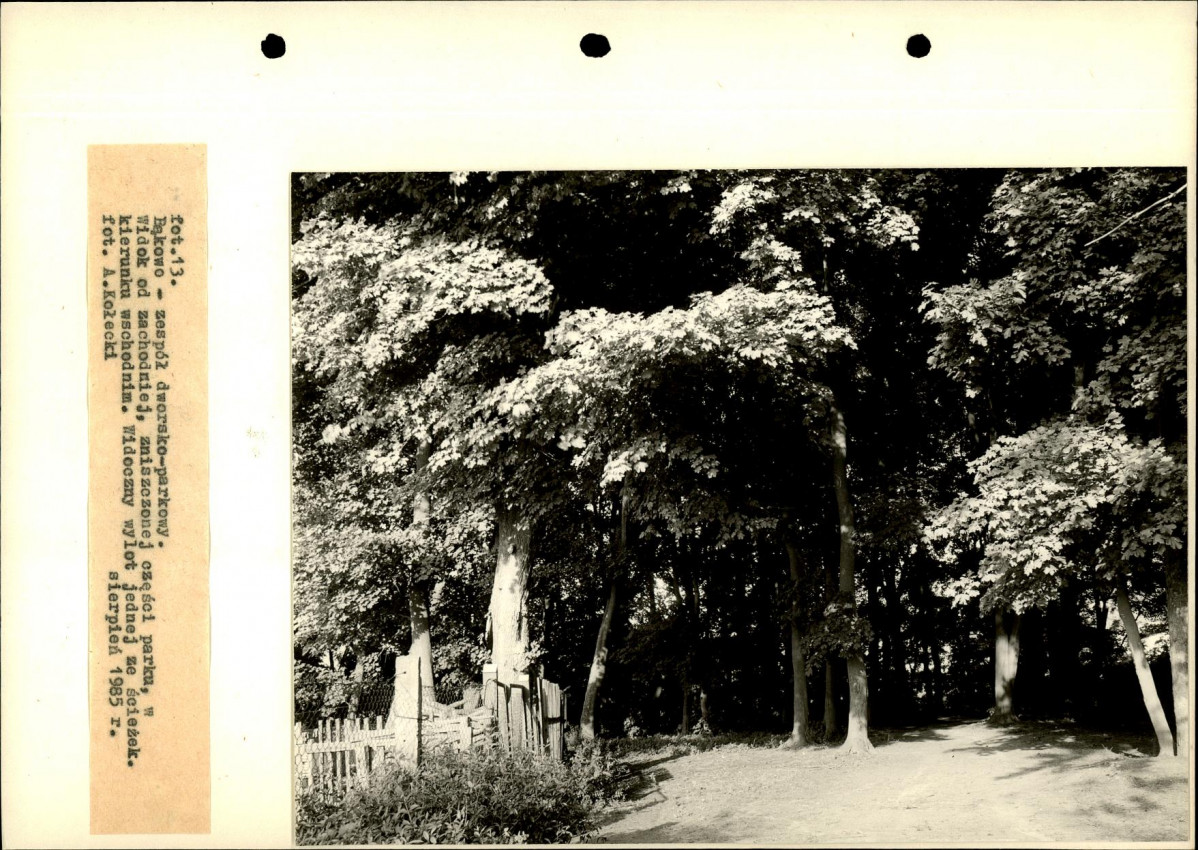 Ewidencja parkowa, skan nr 44