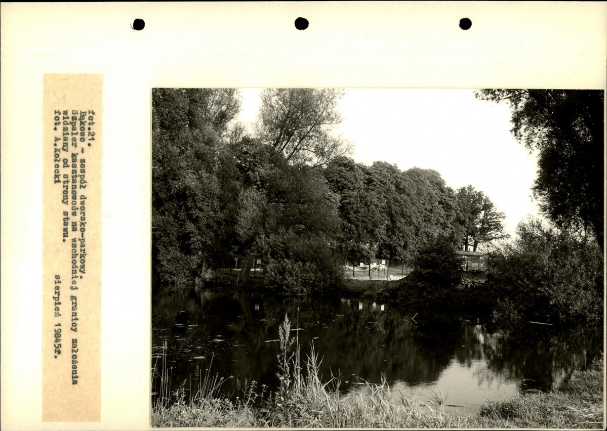 Ewidencja parkowa, skan nr 52