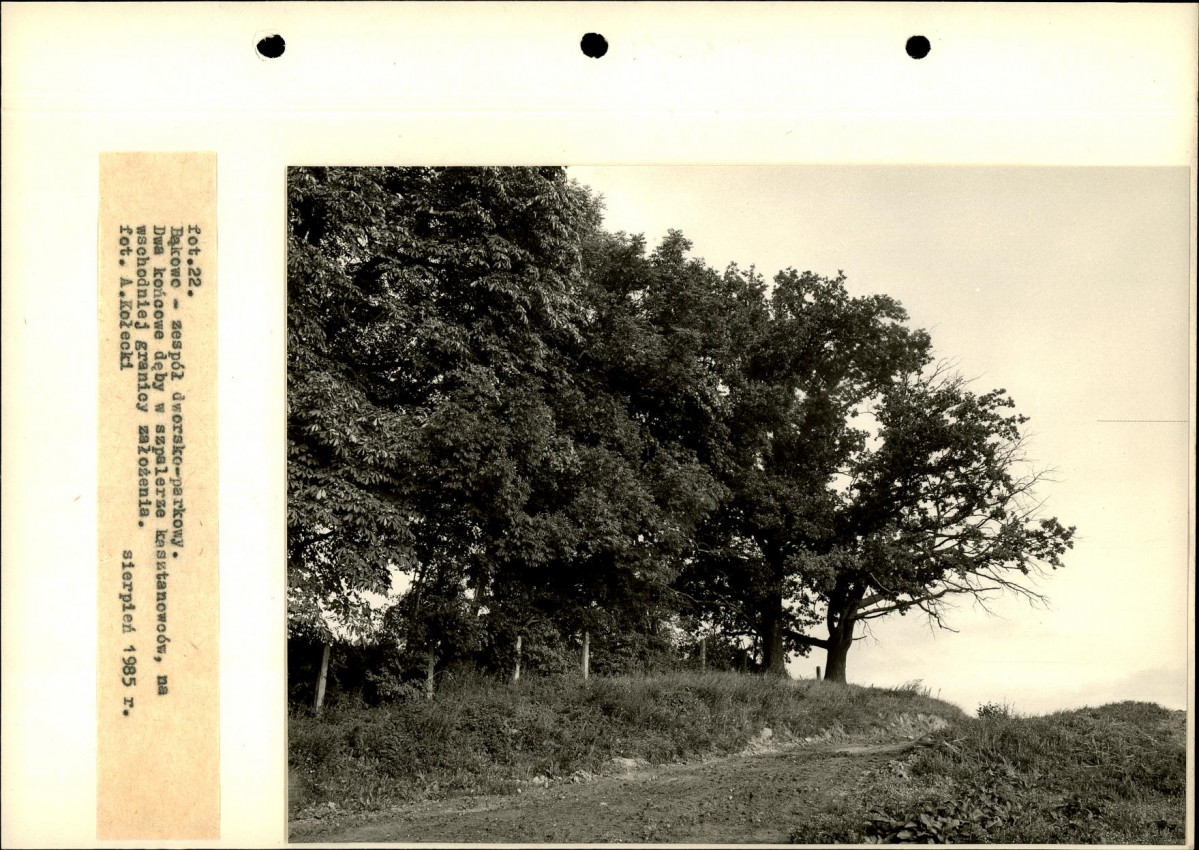 Ewidencja parkowa, skan nr 53