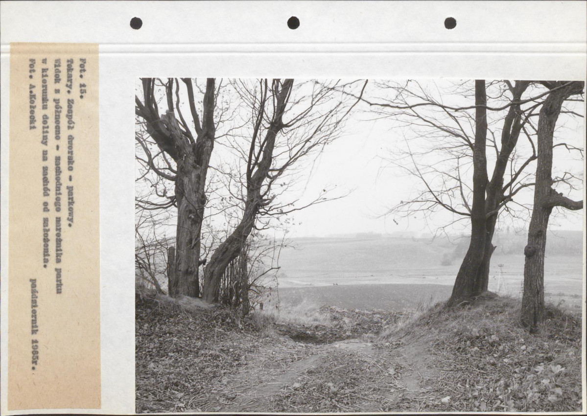 Ewidencja parkowa, skan nr 60