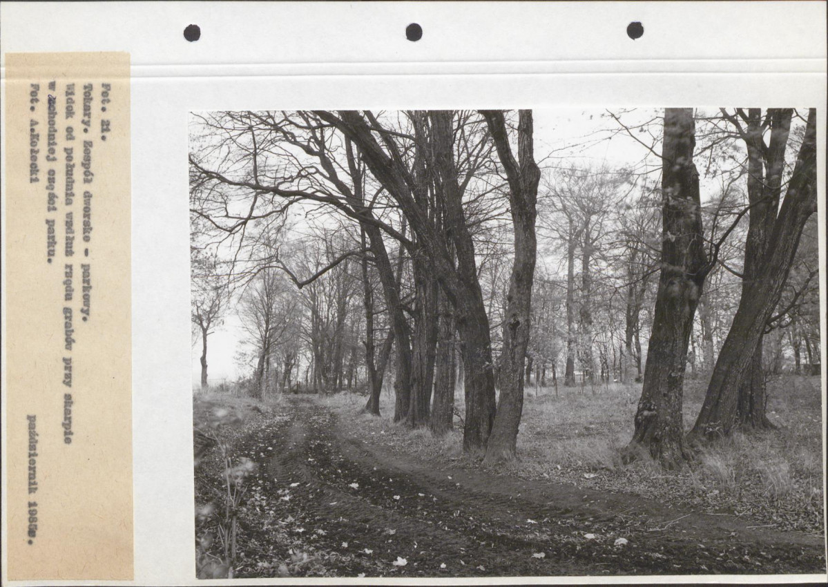 Ewidencja parkowa, skan nr 66