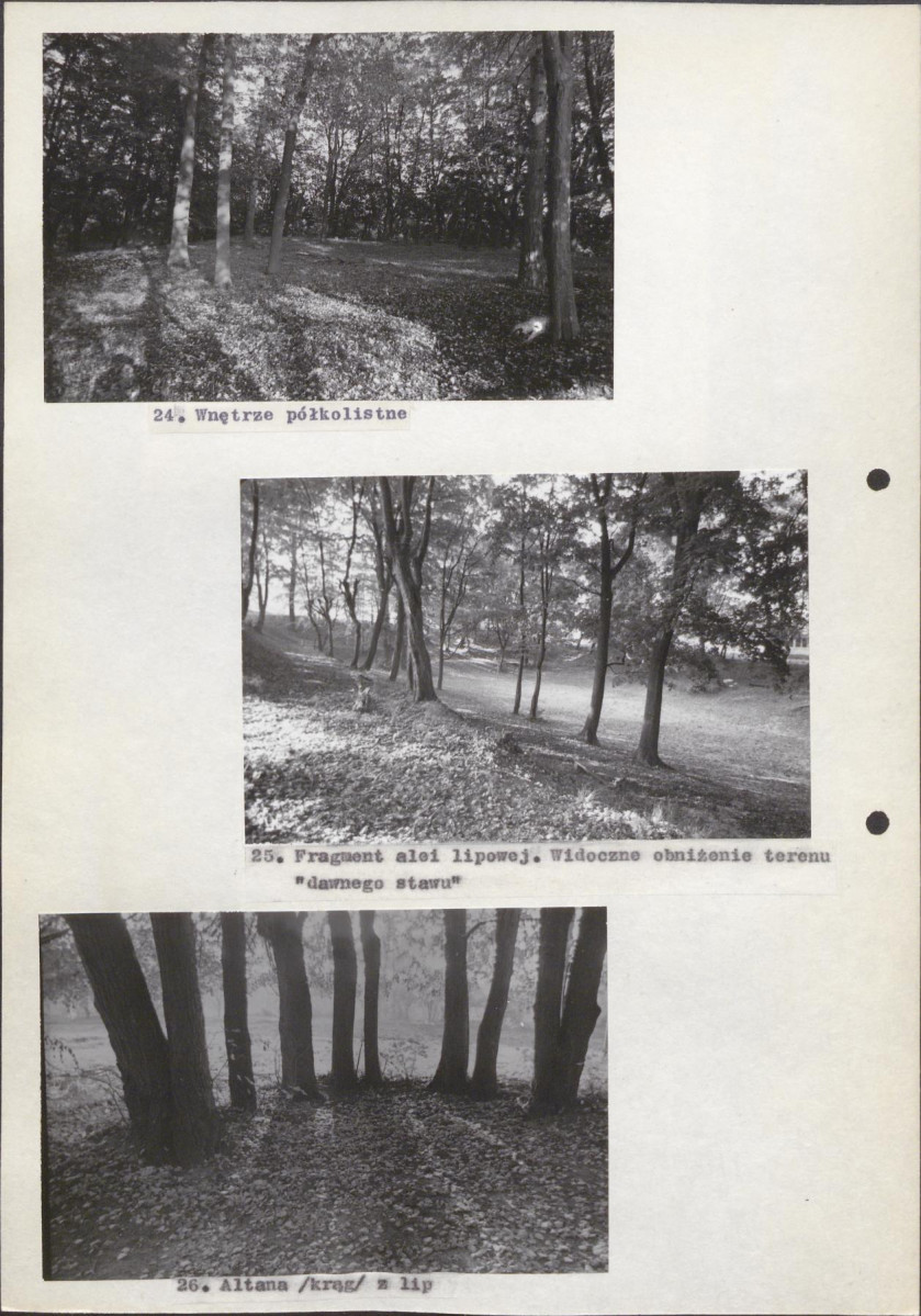 EP - Ewidencja parkowa, skan nr 37