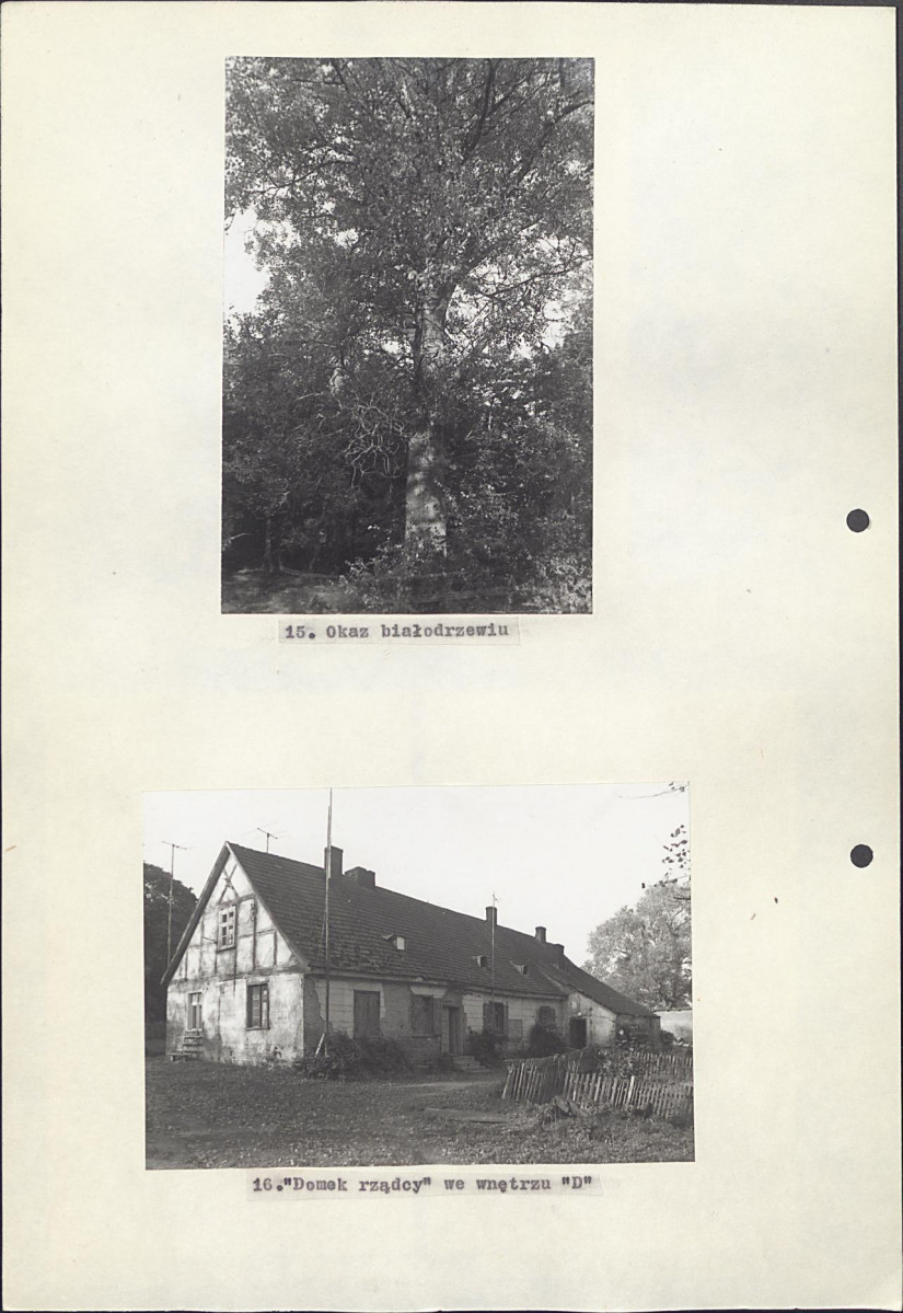 EP - Ewidencja parkowa, skan nr 34