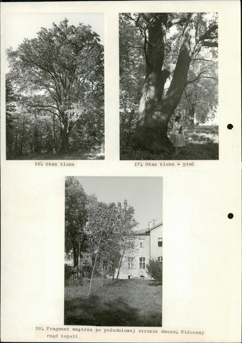 EP - Ewidencja parkowa, skan nr 29