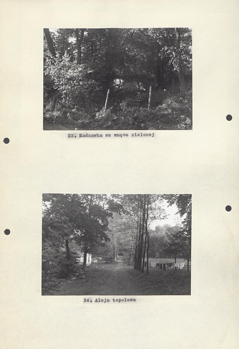 EP - Ewidencja parkowa, skan nr 37
