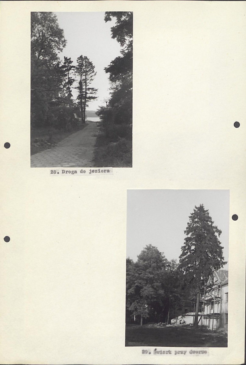 EP - Ewidencja parkowa, skan nr 39