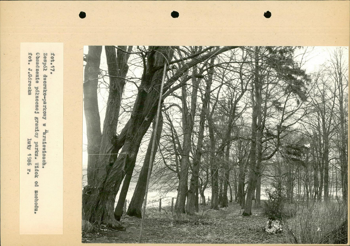 Ewidencja parkowa, skan nr 46