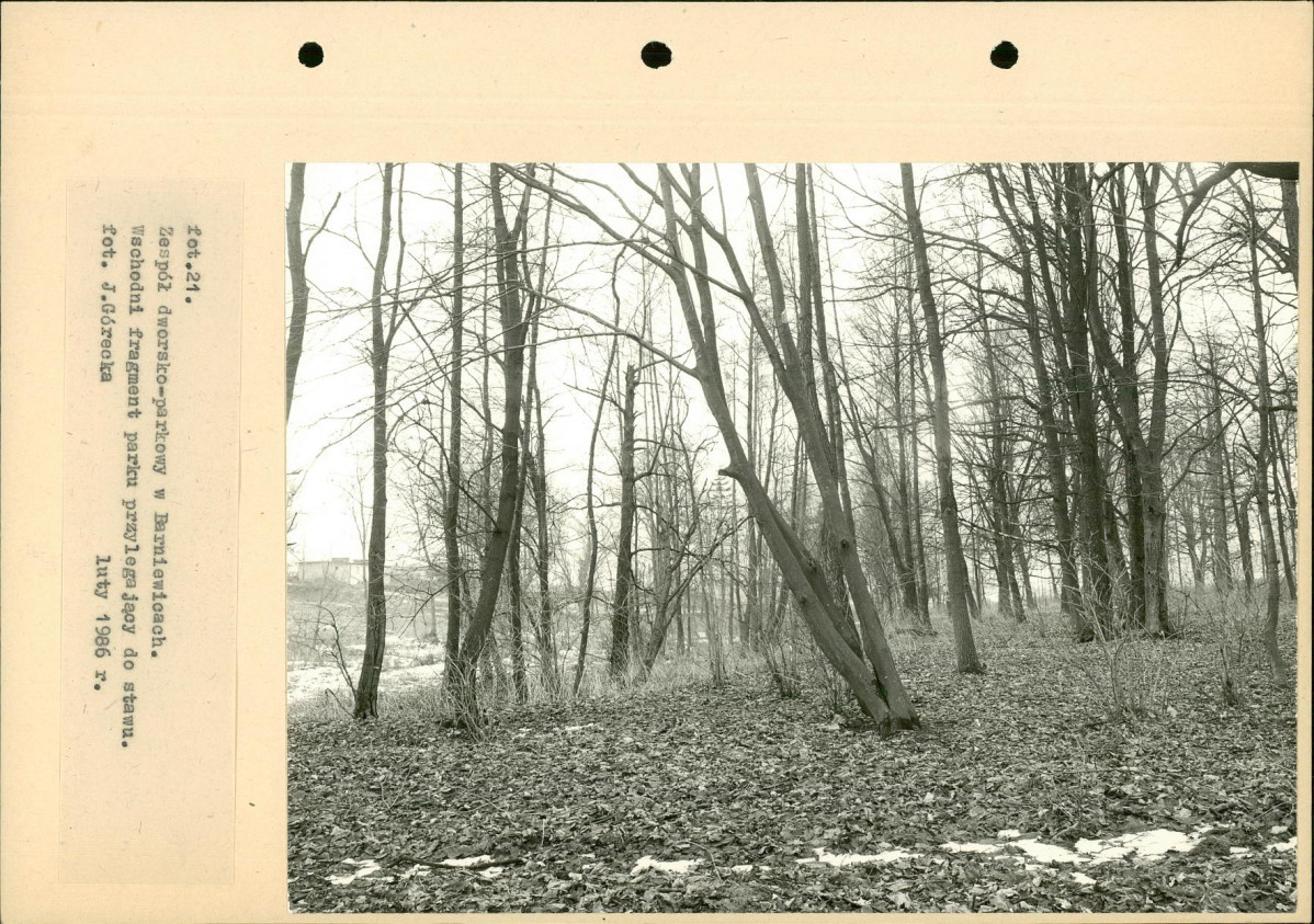 Ewidencja parkowa, skan nr 50