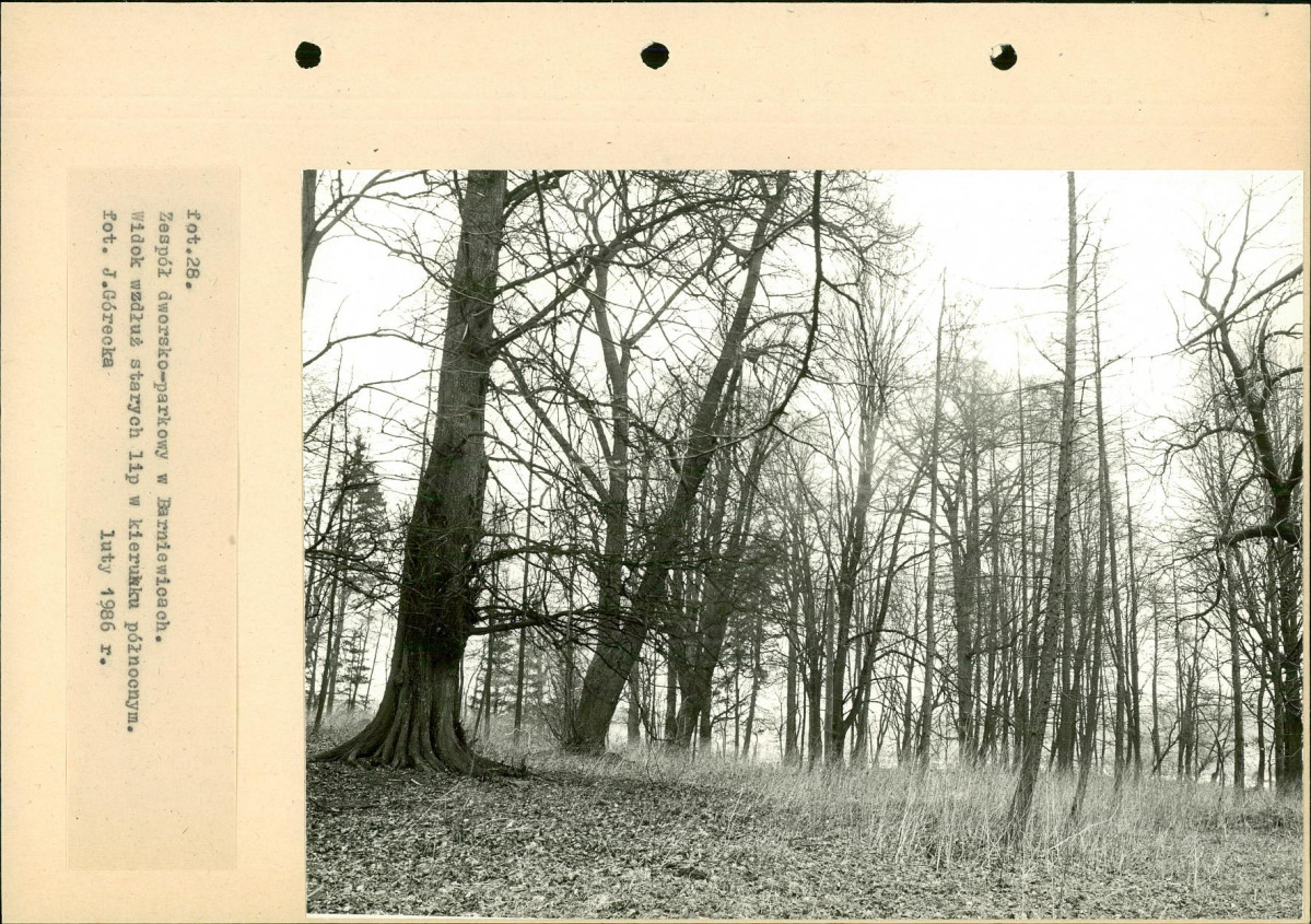 Ewidencja parkowa, skan nr 57