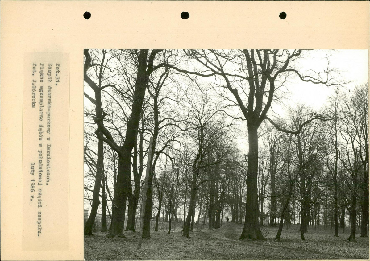 Ewidencja parkowa, skan nr 60