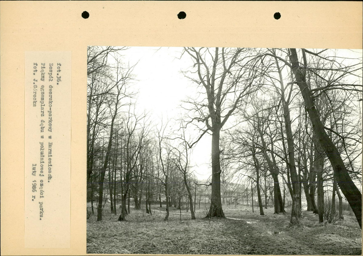 Ewidencja parkowa, skan nr 65