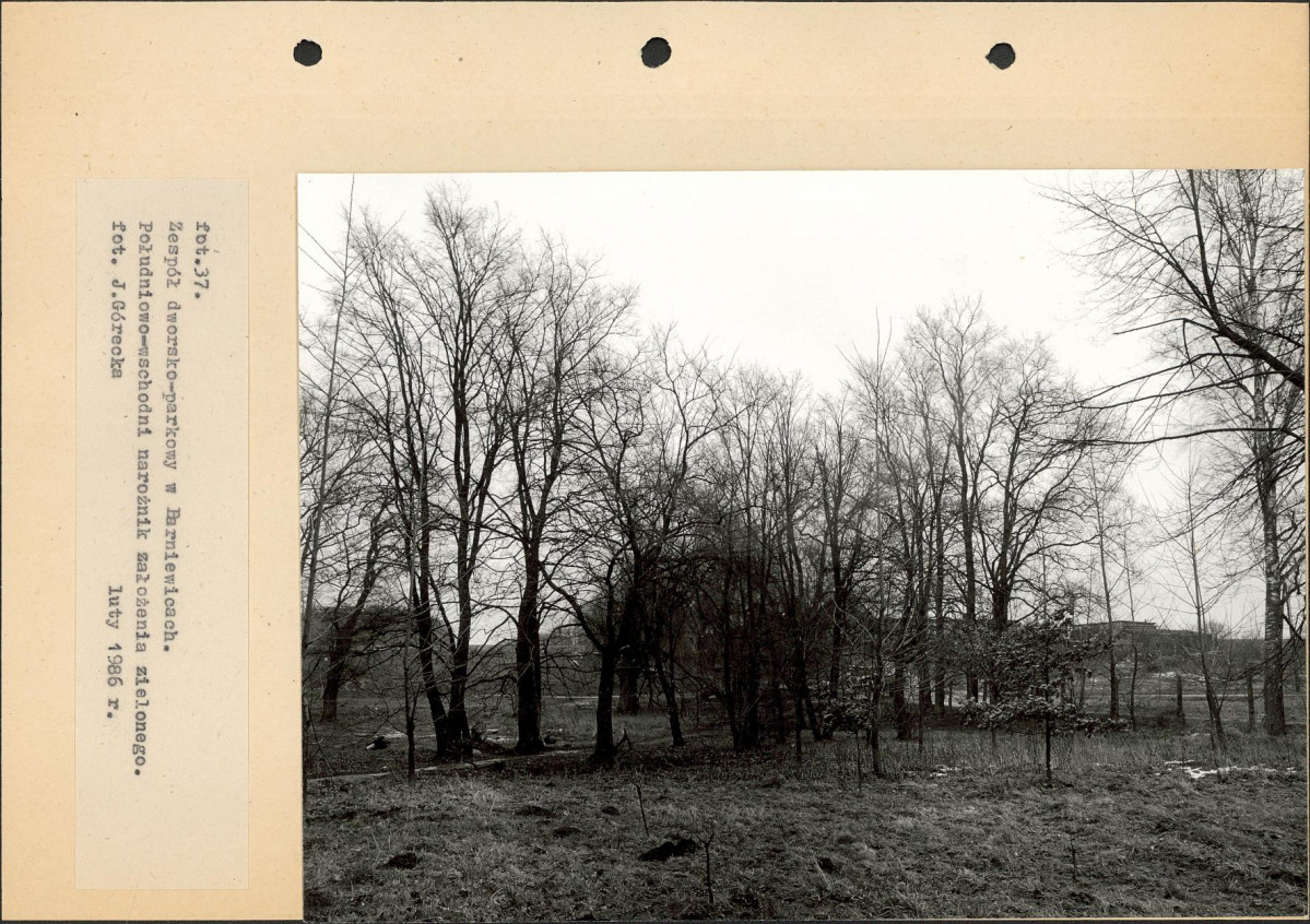 Ewidencja parkowa, skan nr 66