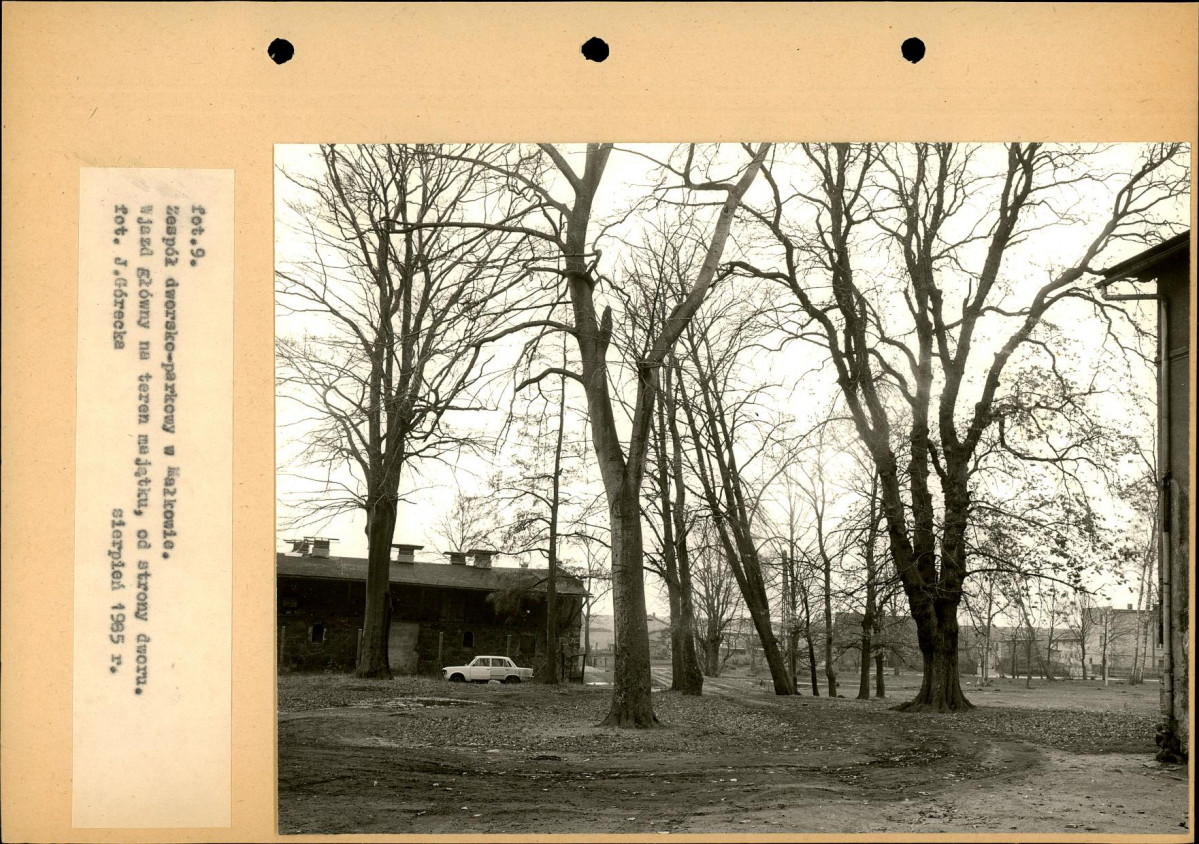 Ewidencja parkowa, skan nr 38