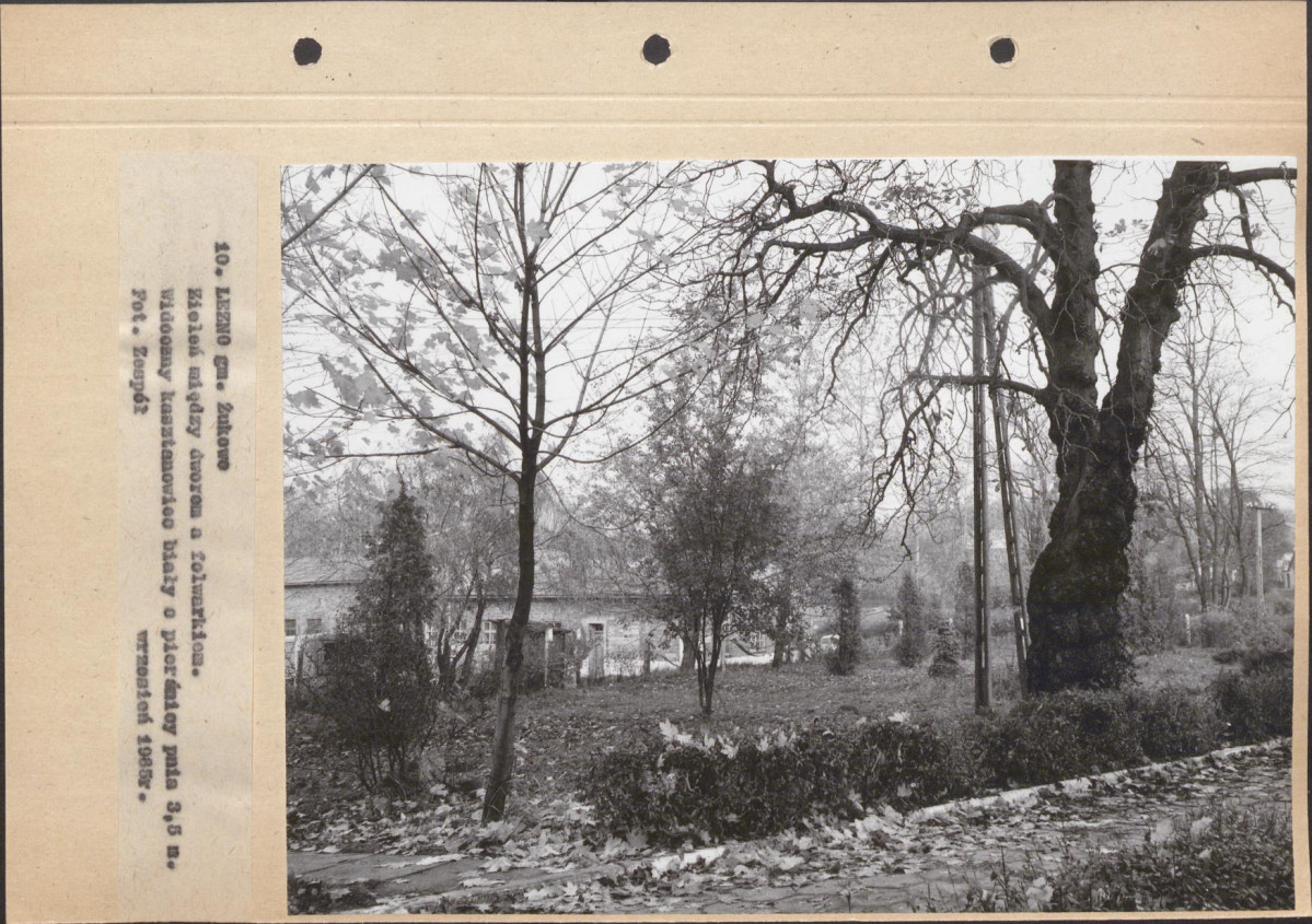 Ewidencja parkowa, skan nr 50