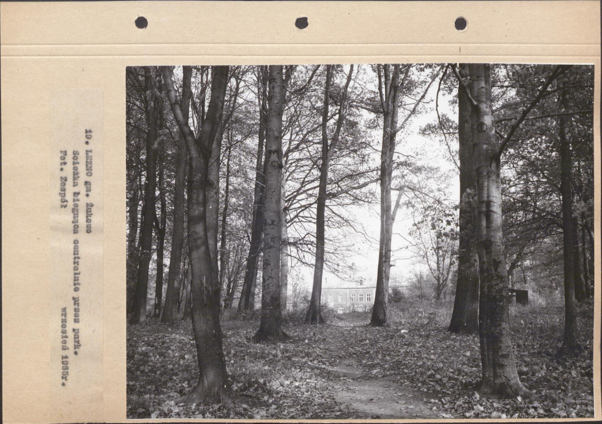 Ewidencja parkowa, skan nr 59