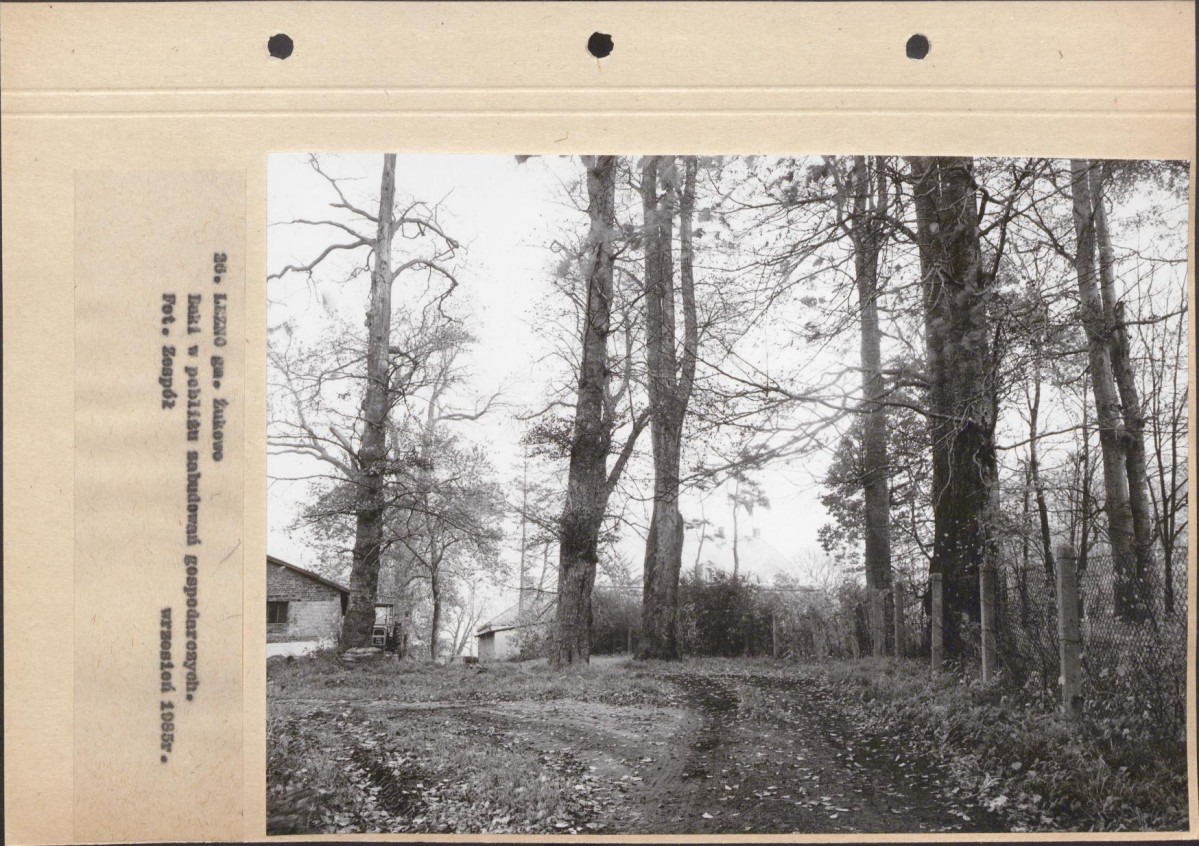 Ewidencja parkowa, skan nr 66