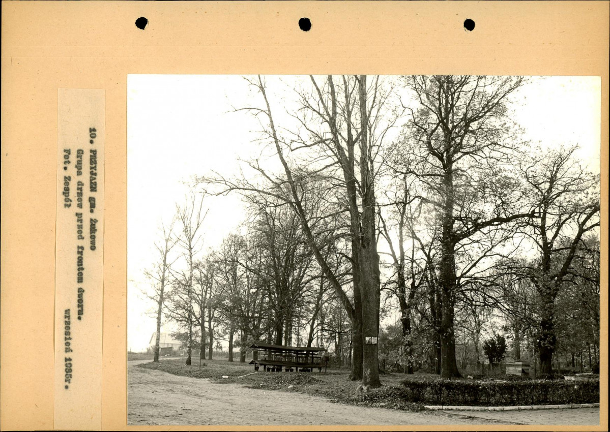Ewidencja parkowa, skan nr 42