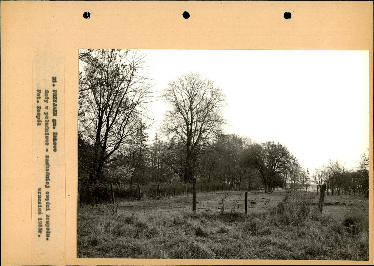 Ewidencja parkowa, skan nr 52