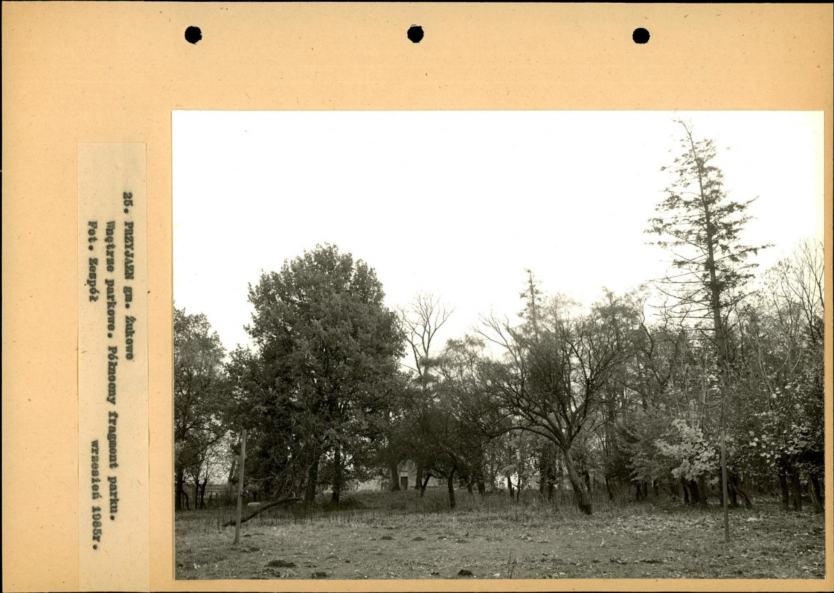 Ewidencja parkowa, skan nr 56