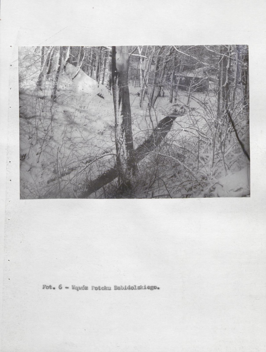 EP - Ewidencja parkowa, skan nr 44