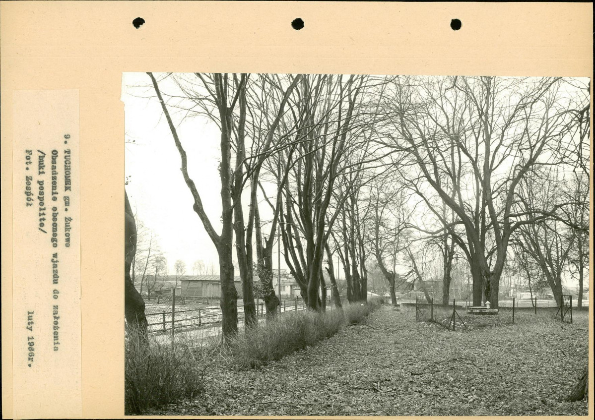 Ewidencja parkowa, skan nr 40