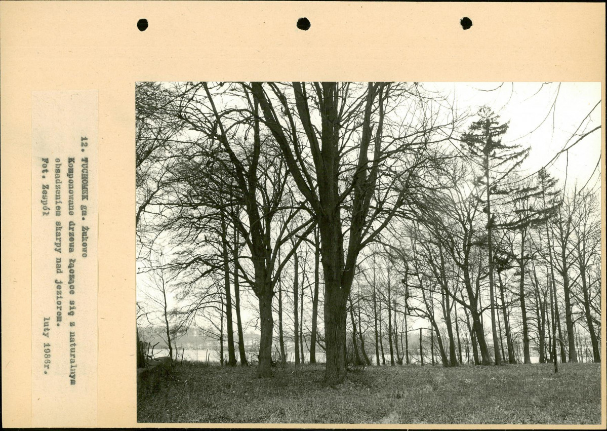 Ewidencja parkowa, skan nr 43