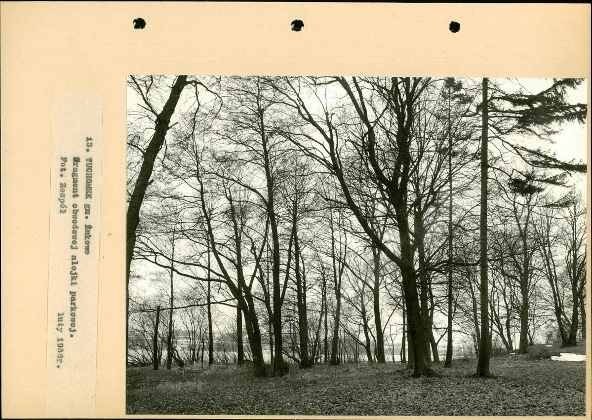 Ewidencja parkowa, skan nr 44