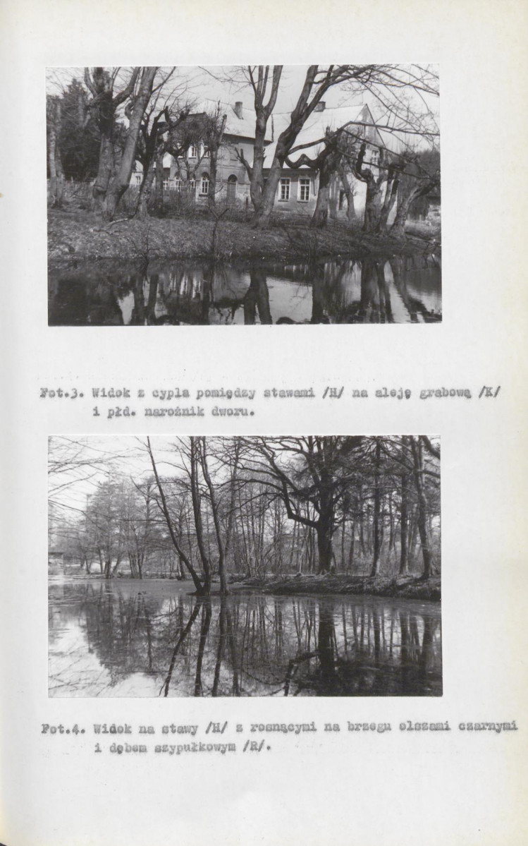 EP - Ewidencja parkowa, skan nr 26