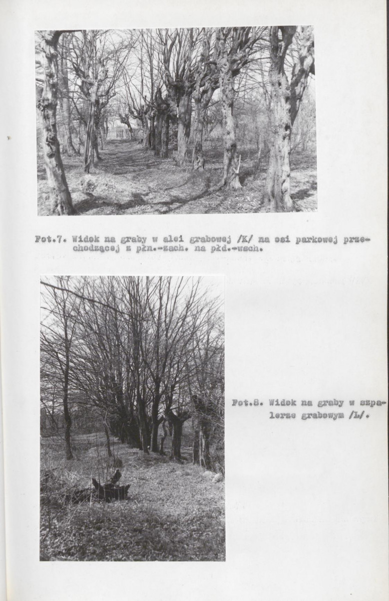 EP - Ewidencja parkowa, skan nr 28