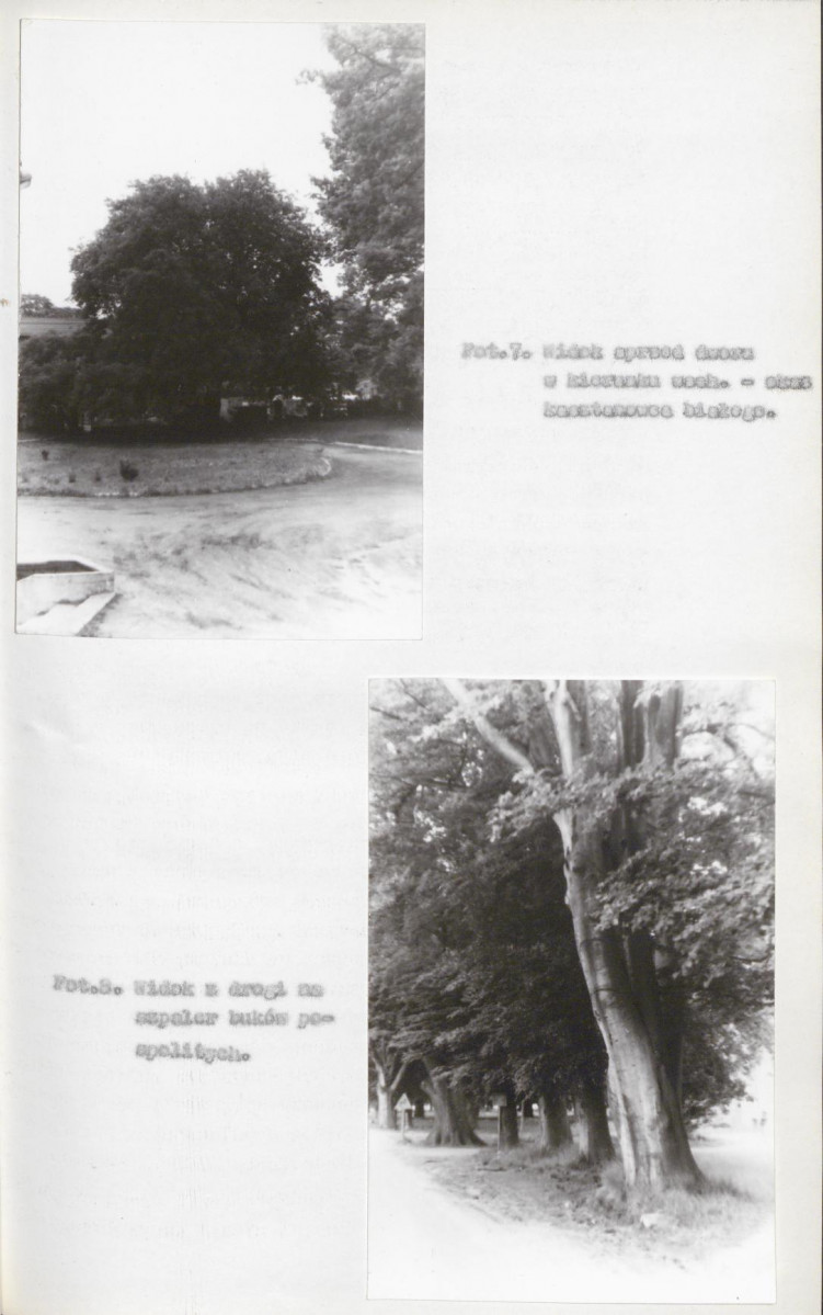 EP - Ewidencja parkowa, skan nr 31