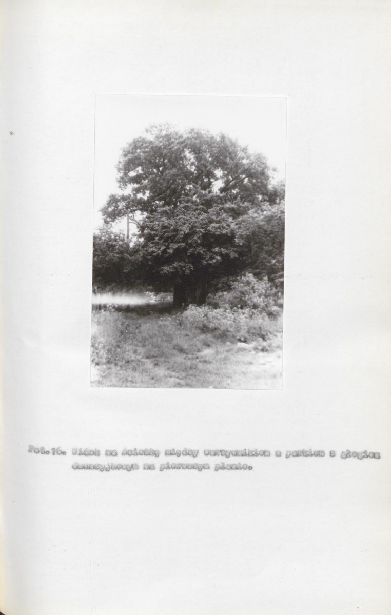 EP - Ewidencja parkowa, skan nr 36