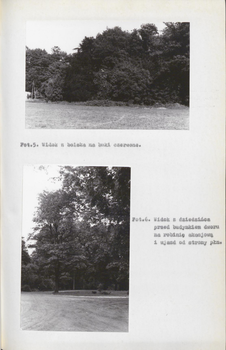 EP - Ewidencja parkowa, skan nr 29