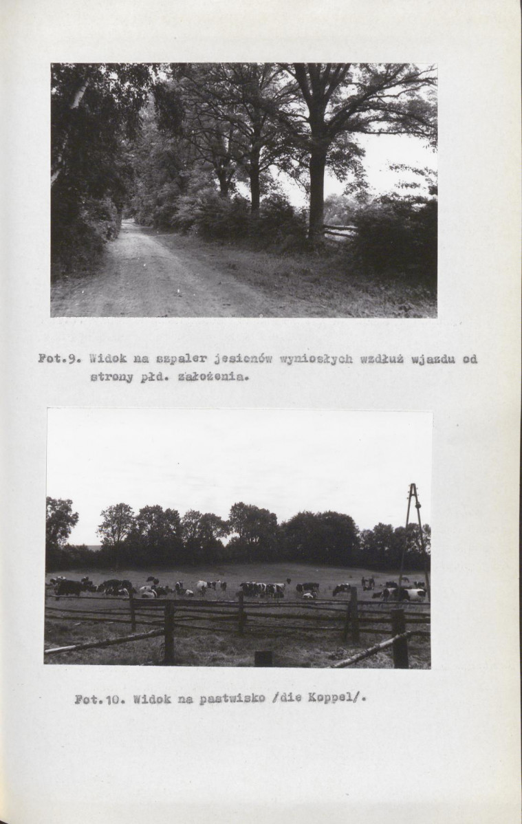 EP - Ewidencja parkowa, skan nr 31