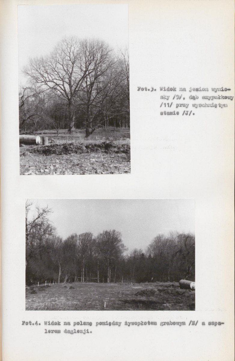 Ewidencja parkowa, skan nr 28