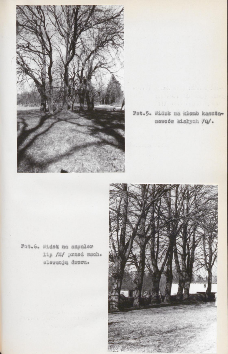 Ewidencja parkowa, skan nr 29