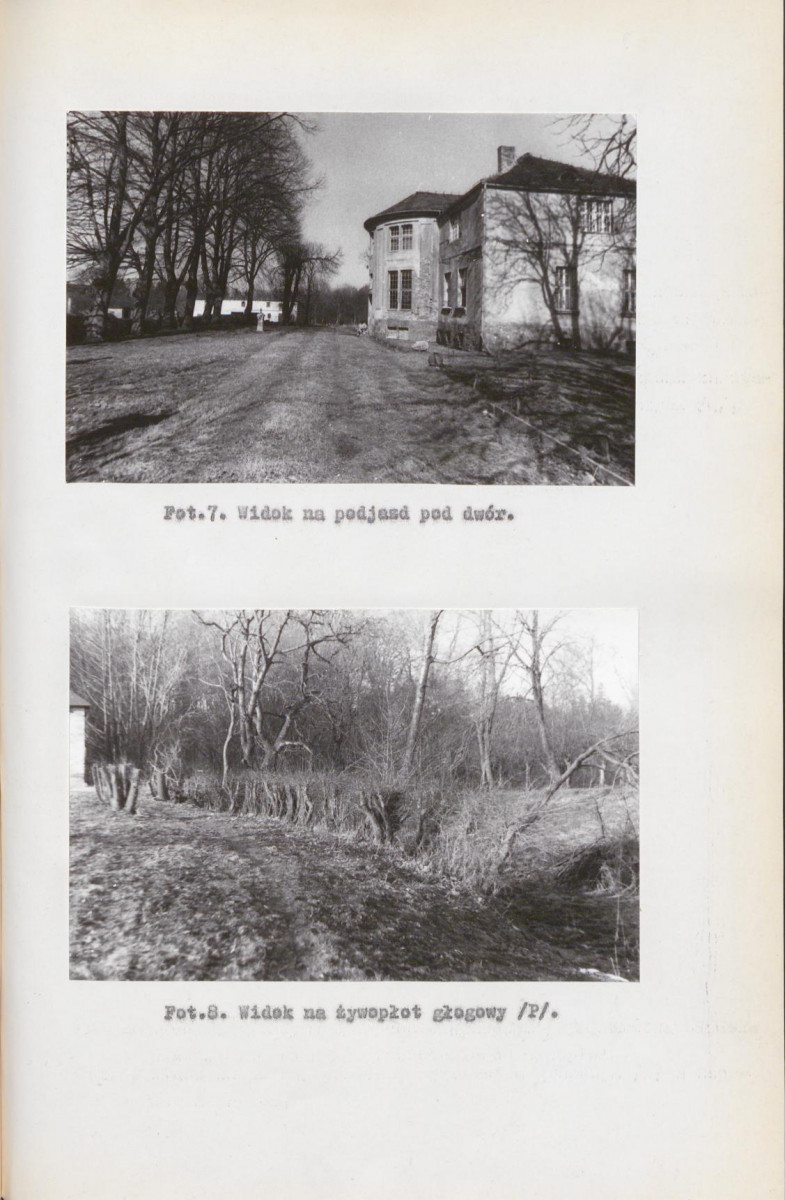 Ewidencja parkowa, skan nr 30