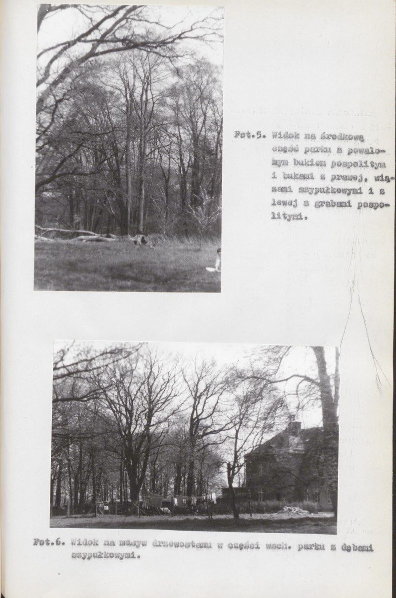 EP - Ewidencja parkowa, skan nr 40