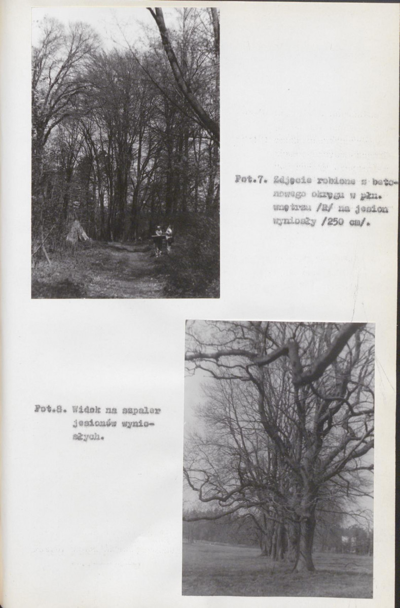EP - Ewidencja parkowa, skan nr 41
